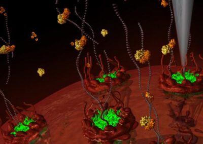 Cell-transport-machinery