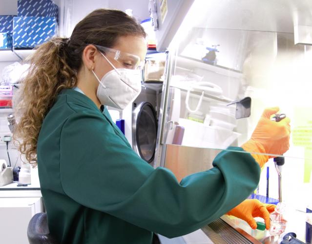 i-sense continues diagnostic development during COVID-19 lockdown