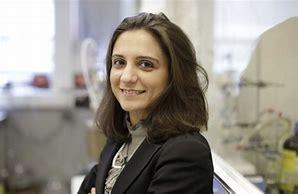 Dr Cecilia Mattevi Awarded The ACS Nano Champion