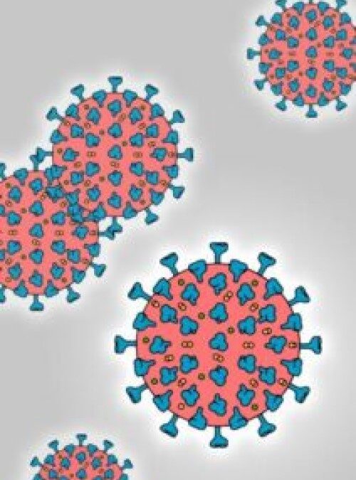 Rapid isothermal amplification diagnostic test to detect multiple COVID-19 genes