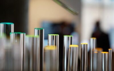 LCN researchers celebrate the International Day of Light