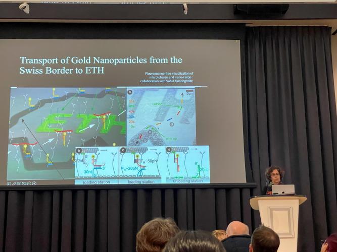 Mechanobiology explored in the Wheatstone Lecture 2023