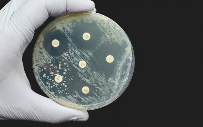 New £4m digital hub to tackle antimicrobial resistance announced
