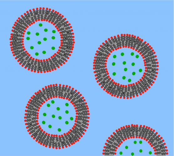 DNA-based nanocontainers for drug delivery