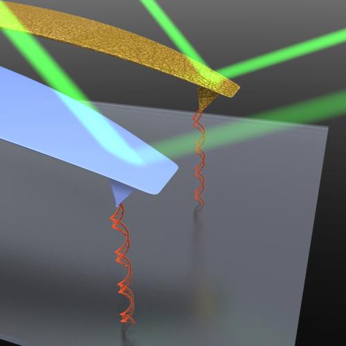 Nanotechnology to leverage infections and antibiotic sensing