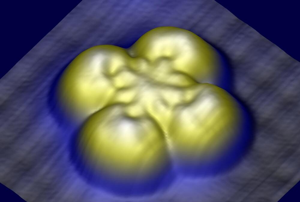 Using a Single Molecule to Create a New Magnetic Field Sensor