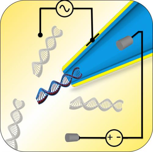 Detection of molecules important for healthcare could soon be 1000 times faster