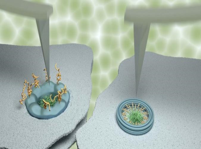 Tracking wiggling biomolecules inside nanopores
