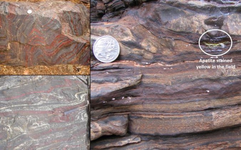Tracking records of the oldest life forms on Earth