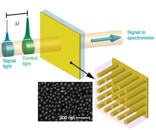 Controlling optical response with designed electron temperature distributions in plasmonic nanostructures.