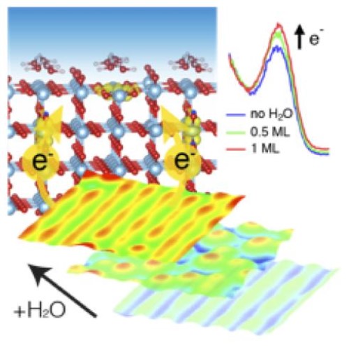 Mutual affinity of electron polarons and water at a TiO2 surface