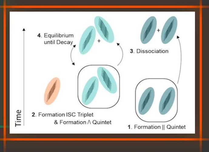 Identifying triplet pathways in dilute pentacene films