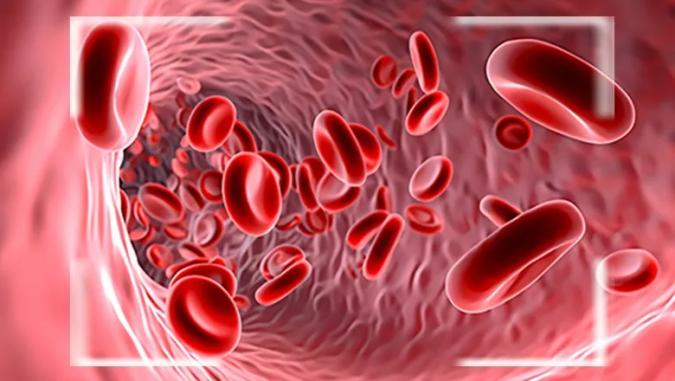 Blood-cells-flow