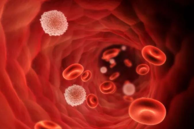 Enhancing treatment options of triple-negative breast cancer