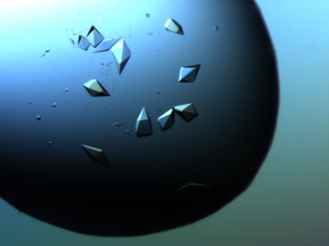 Creating Crystals from Gold