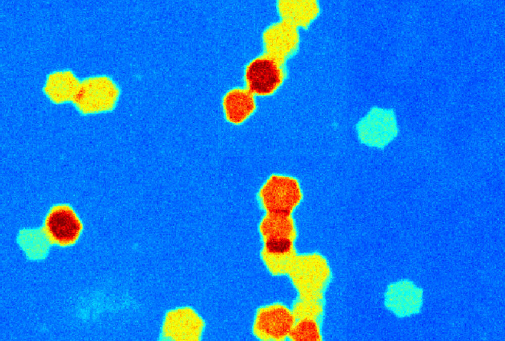 New solution for making 2D Nanomaterials