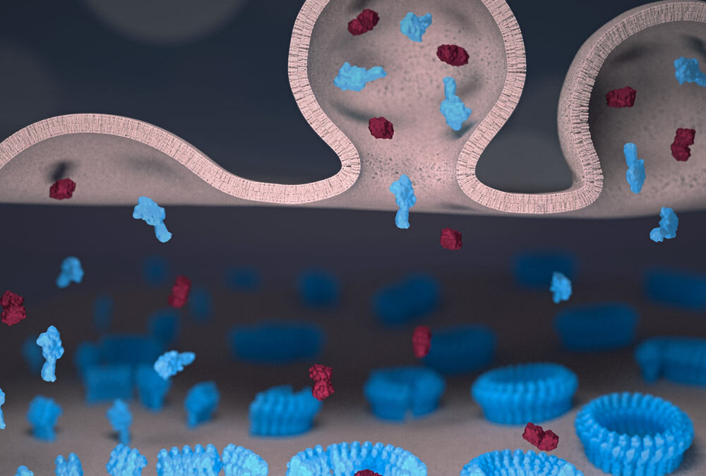 Serial killers of the immune system caught on microscopic CCTV