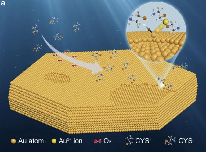 Single-crystal-gold