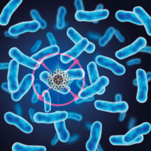 Synthetic ‘virus’ to kill bacteria