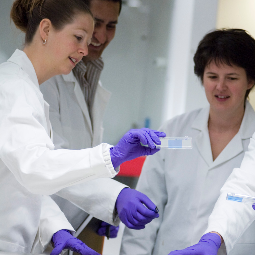 People-square People in the lab