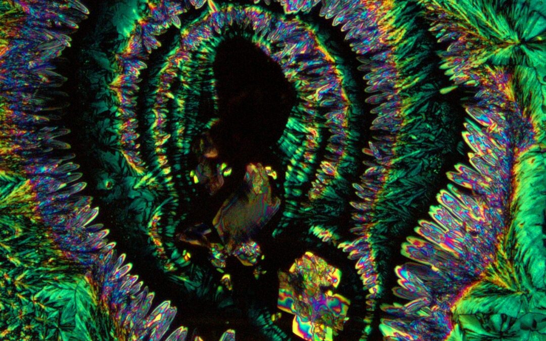 Quantum Leaps & Nano Wonders